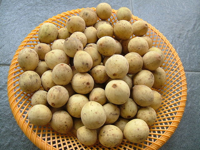 Manfaat Buah Duku